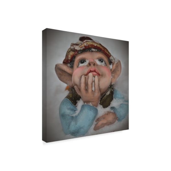 Christine Sainte-Laudy 'Dream Elf' Canvas Art,24x24